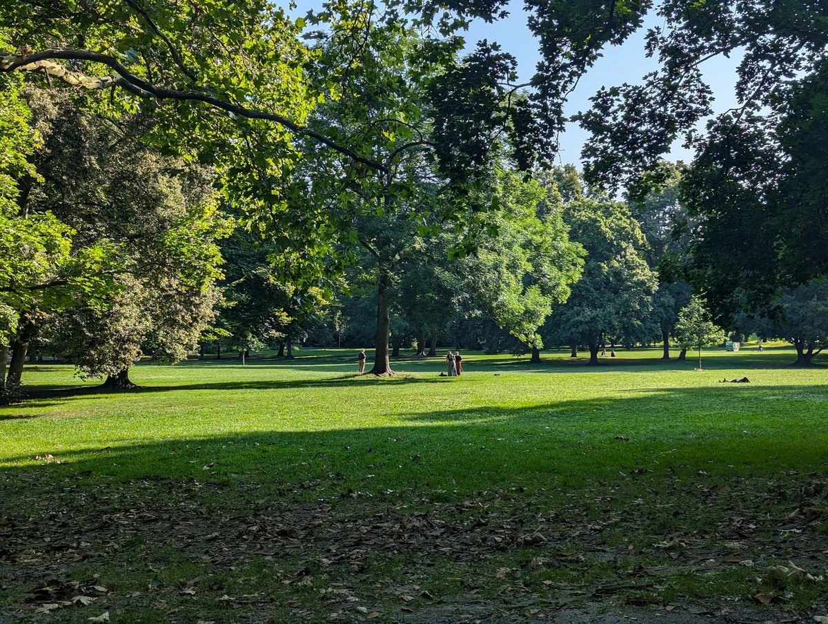 Grüner Tiergarten im Sommer mit breiter Wiese