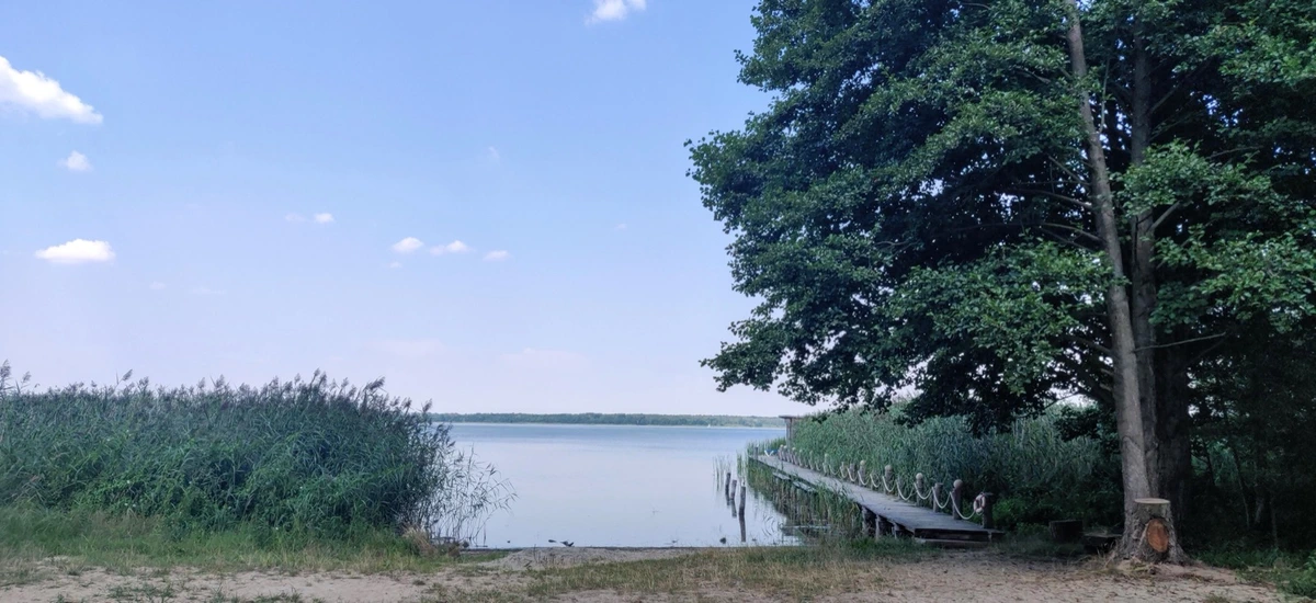 Ruhiger See mit Holzsteg und großer Eiche
