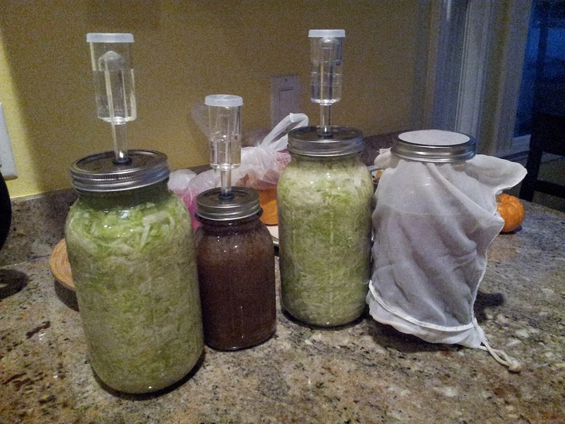 Einmachgläser mit verschiedenen Fermenten, Sauerkraut im Vordergrund