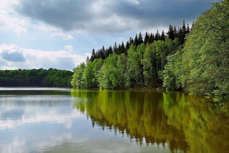 Krienkowsee im Naturpark Uckermärkische Seen bei Lychen, klares Wasser zwischen Wald