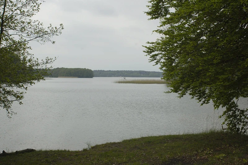Großer Lychensee in der Uckermark, stilles Wasser umgeben von Wald