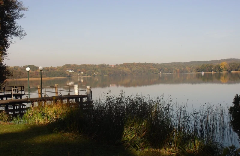 Blick auf den Schermützelsee in Buckow