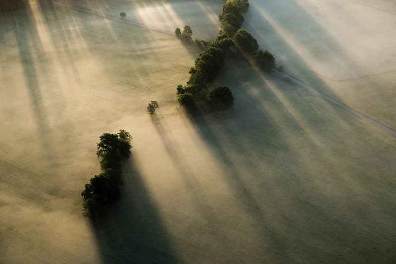 Nebelstimmung bei Sonnenaufgang im Naturpark Hoher Fläming