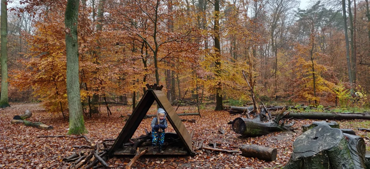 Buchenwald im Herbst mit Tipi-Huette aus Aesten