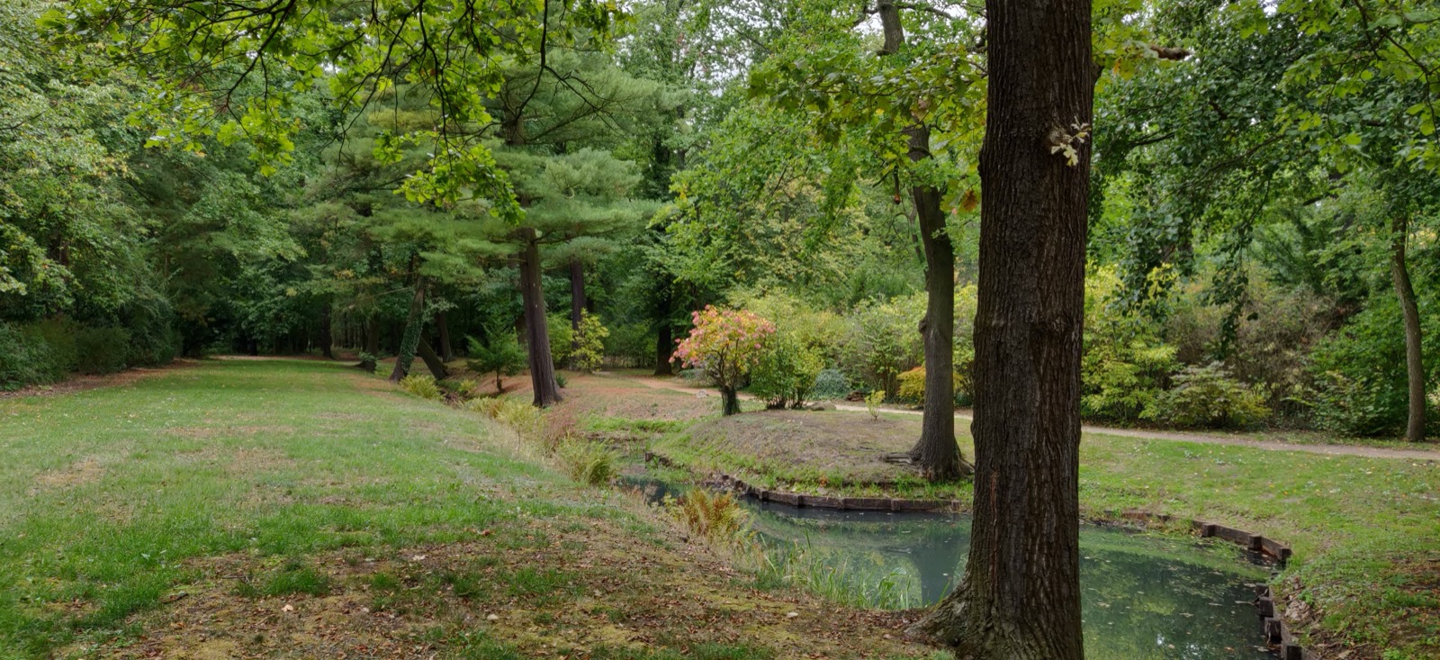 Park mit Bach und üppigen Bäumen