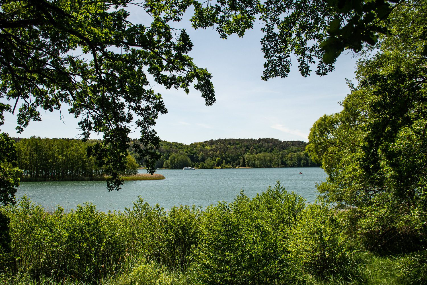 Schermützelsee bei Buckow durch grüne Eichenzweige